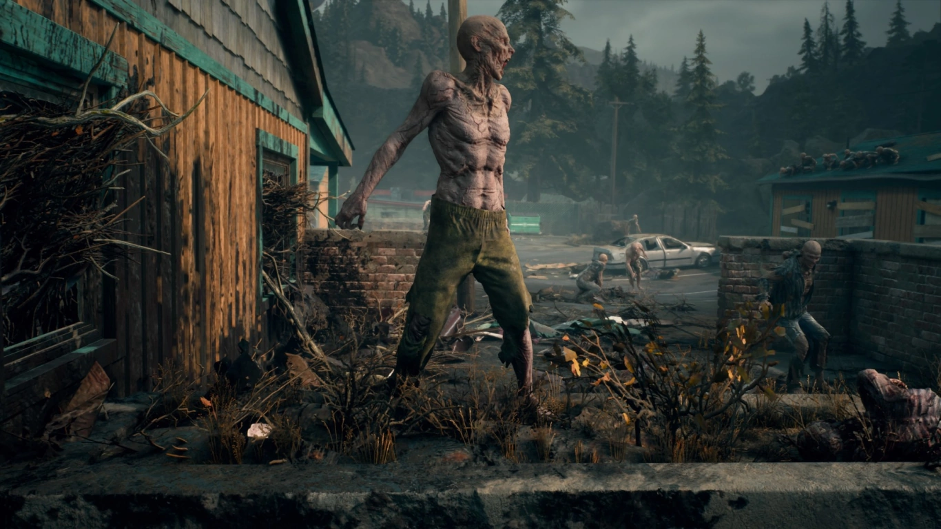 Жизнь после