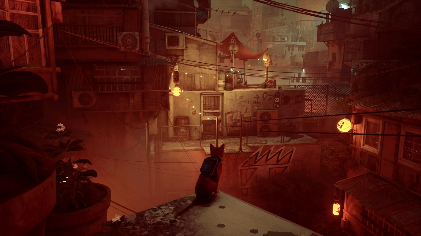 Stray